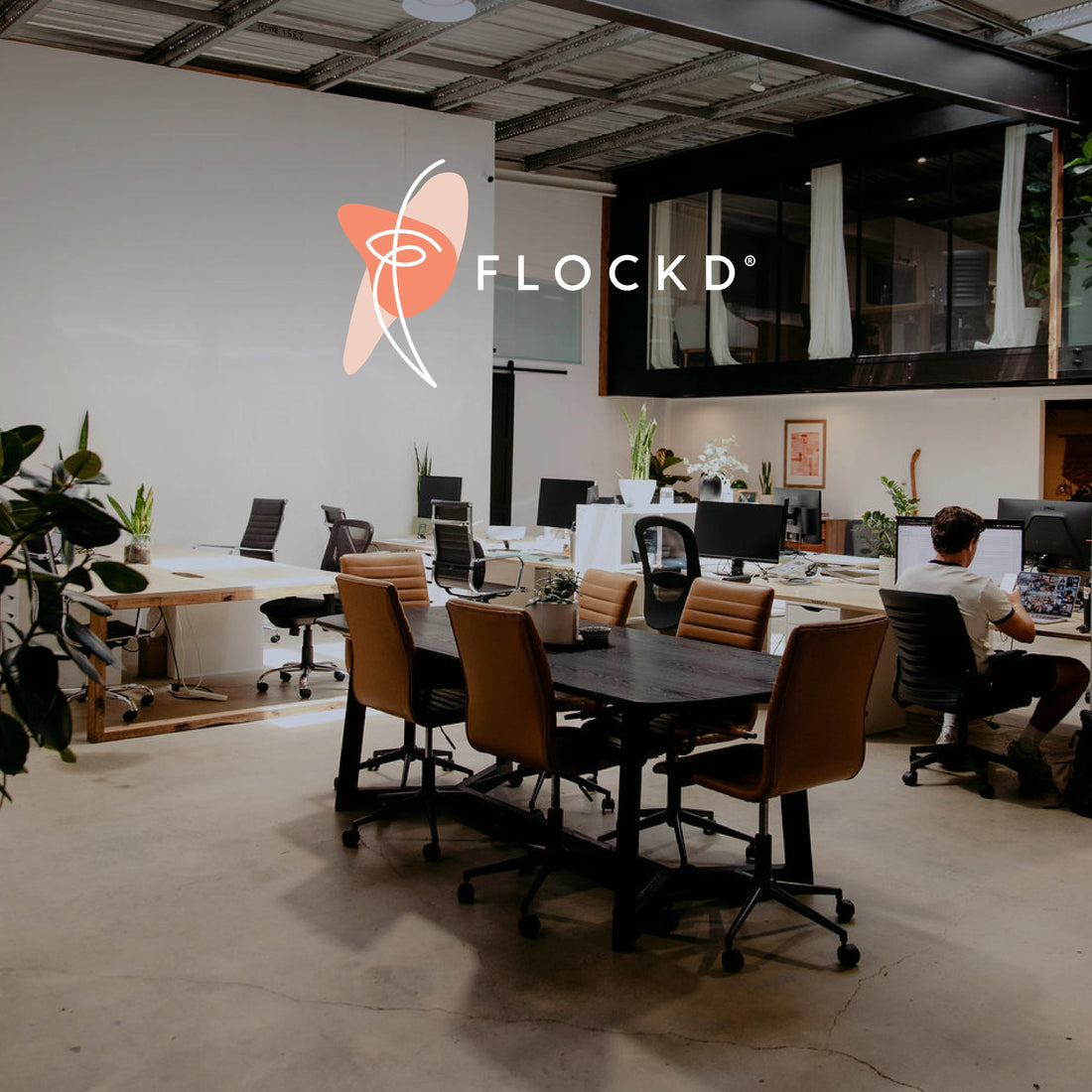Why the Gold Coast Is Becoming a Coworking Hotspot — Inside Flockd, Burleigh Heads